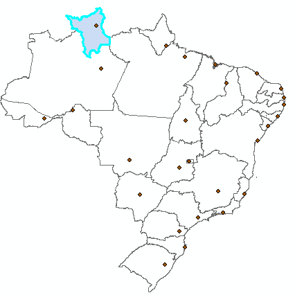 Figura 19